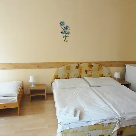 Jizera 3* Karlovy Vary